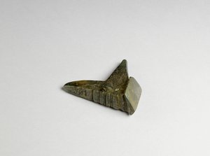 Fresn-la-Mere, Fransa'dan uygulama, 419849 Bronz Çağı bronz detayı